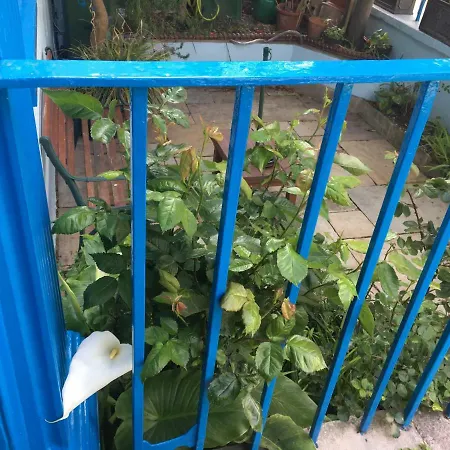 Avoca Гостевой дом