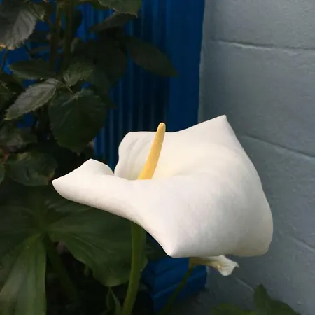 게스트하우스 Avoca Saint Helier Jersey